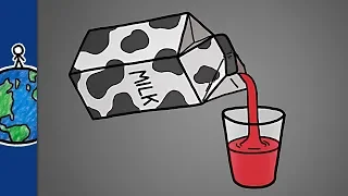 Молоко - это отфильтрованная кровь [MinuteEarth]