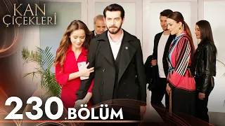 Kan Çiçekleri 230. Bölüm