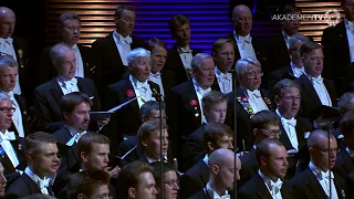 Akademen – Bergman: Eteläpohjalainen kansanlaulu, Op.37b:1 (20/4/2013)