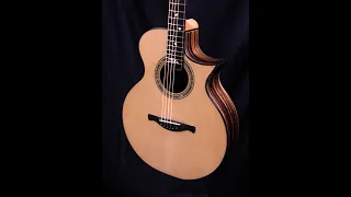 Knight Guitar "Sound-Check"  -  Macassar Ebony Concert Model