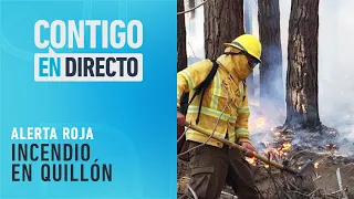 ¡ALERTA ROJA! Se reactivó incendio forestal en Quillón - Contigo en Directo