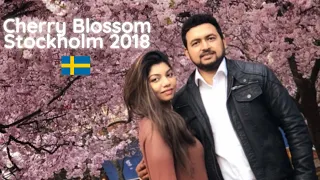 Cherry Blossom Stockholm Sweden 2018