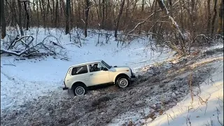 Нивы, Ока, ЛуАЗ и Квадрик