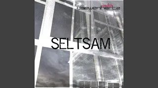 Seltsam (The Dying Machine Remix)