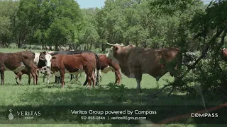 Tour Dripping Springs, Texas!  | Veritas Group Dripping Springs & Austin Texas Luxury Real Estate