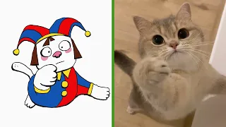 Cat Memes: The Amazing Digital Circus