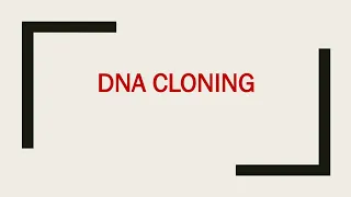 14.DNA cloning ,cloning vector & DNA libraries| introduction to Biotechnology شرح بالعربي