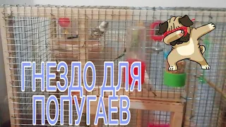 Гнездо Для Попугаев 2019 Своими Руками! Parrot Nest 2019