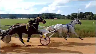 15- tordilha 1.14,79 vs barqueiro 1.16,45