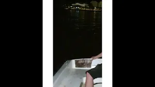 boat engine falls off