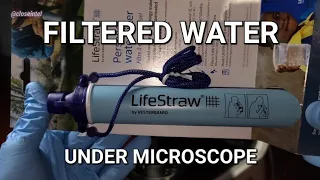 Testing The Lifestraw Under Microscope
