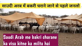 The Goat Life Film/सऊदी अरब में बकरी चराने जाना चाहते हो जान लो | Goat farming saudi arab