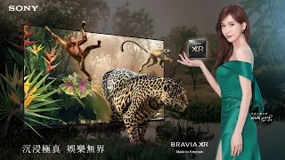 Sony BRAVIA 催眠篇