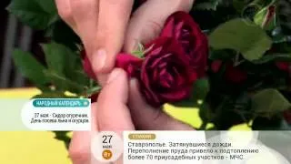 Как избавиться от тяжести в желудке?