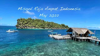 Misool Raja Ampat Indonesia May 2022