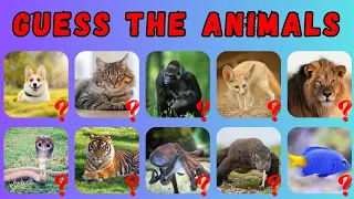 Guess the Animals in 5 seconds - easy , medium , hard/Animals Quiz