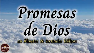 Promesas de Dios que cambiarán tu vida | 20 min de versículos bíblicos para motivarte | La Biblia