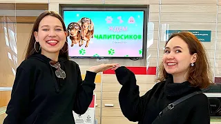 РАДИ ЧАПИТОСИКОВ В КАЗАНИ БЫЛ САЛЮТ! 🙈🥳💕