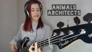 Architects - Animals (Bass Cover)