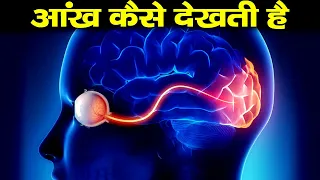 आंख कैसे देखती है - how eye works in hindi