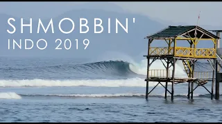 Surfing Indonesia 2019