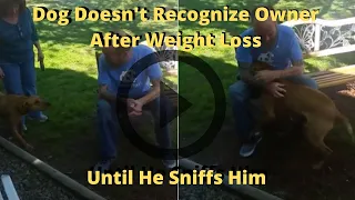 Until He Sniffs Him .... Dog Doesn't Recognize Owner After Weight Loss