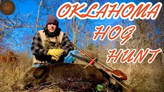 TRAD BOW HUNTING WILD HOGS IN OK