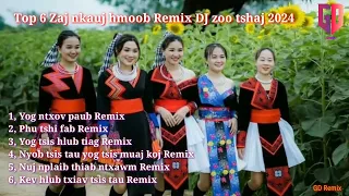 Top 6 Zaj nkauj hmoob Remix zoo tshaj 2023 - Paj tawg zoo nkauj paj yuav zeeg Remix dj