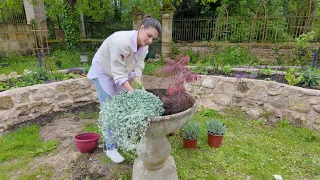 Creating the Centrepiece of our French Country Garden, and the Best way to Start Seeds | Episode 5