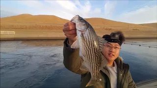 Drifting Bait at the California Aqueduct for Stripers