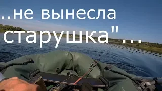 ЩУКА и ВОБЛЕР.   Не вынесла  " СТАРУШКА"...