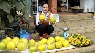 Harvest Fruit ( grapefruit & Tangerine ) Goes to the market to sell goods | Lý Thị Ca