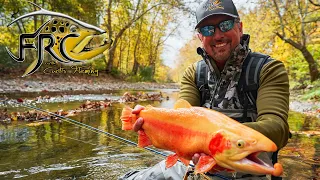 Fly Fishing Gold Rush in West Virginia