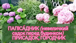 Троянди 🌹Гортензії 🌺Гейхери🌿... бачу із вікна