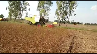 Claas dominator 50...#claasharvester #miniharvester #farmer #farmequipments #harvesting