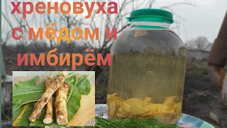 Хреновуха с мёдом и имбирём.