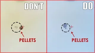 Shooting Mistake to Avoid - Do & Don't by ShotKam Camera