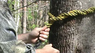 New for 2019 saddle hunters climbing technique