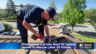 Firefighters Cut Into Roof Of Upland Home To Rescue Litter Of Kittens