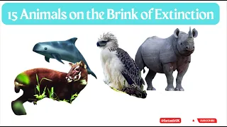 15 Animals on the Brink of Extinction: Shocking Facts and Stories You Need to Know! 🤯#facts #animals