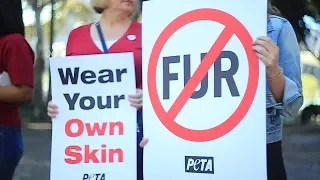 LA Fur Ban