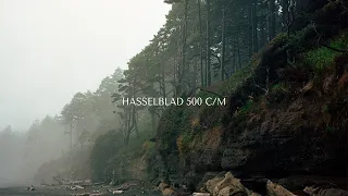 The Hasselblad 500 CM: Is it worth the Hype?