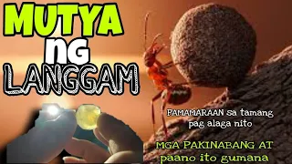 MUTYA NG LANGGAM+PAMAMARAAN SA TAMANG PAG ALAGA NG BATONG ITO/LIHIM AT KAALAMAN