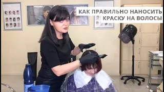 Как правильно наносить краску на волосы - подробно от парикмахера
