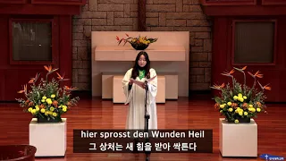 2021.11.07 주일예배 | 헌금송(이지원 교우) - 거친 들이 변하여 (Nun beut die Flur das frischeGrün) - F. Joseph Haydn