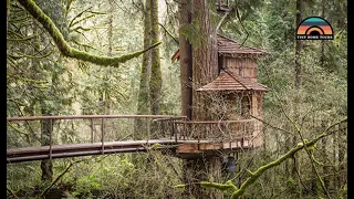 Live Simply In This Gorgeous Tree House Tiny Home | Full Of Clever Build Insights