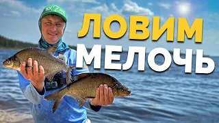 ⚠️ Одни ПОДЛЕЦЫ 😜 Клеим ОПАРЫША❗️Рыбалка на Днепре❗️ Нет крупного леща 👉 ловим мелочь! Рыбалка 2023