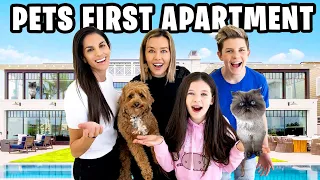 WE SURPRISED OUR PETS WITH THEIR OWN APARTMENT!!