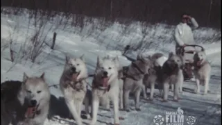 Leonhard Seppala with his dog team