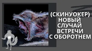 Скинуокер  НОВЫЙ СЛУЧАЙ ВСТРЕЧИ С ОБОРОТНЕМ (История на вечер)